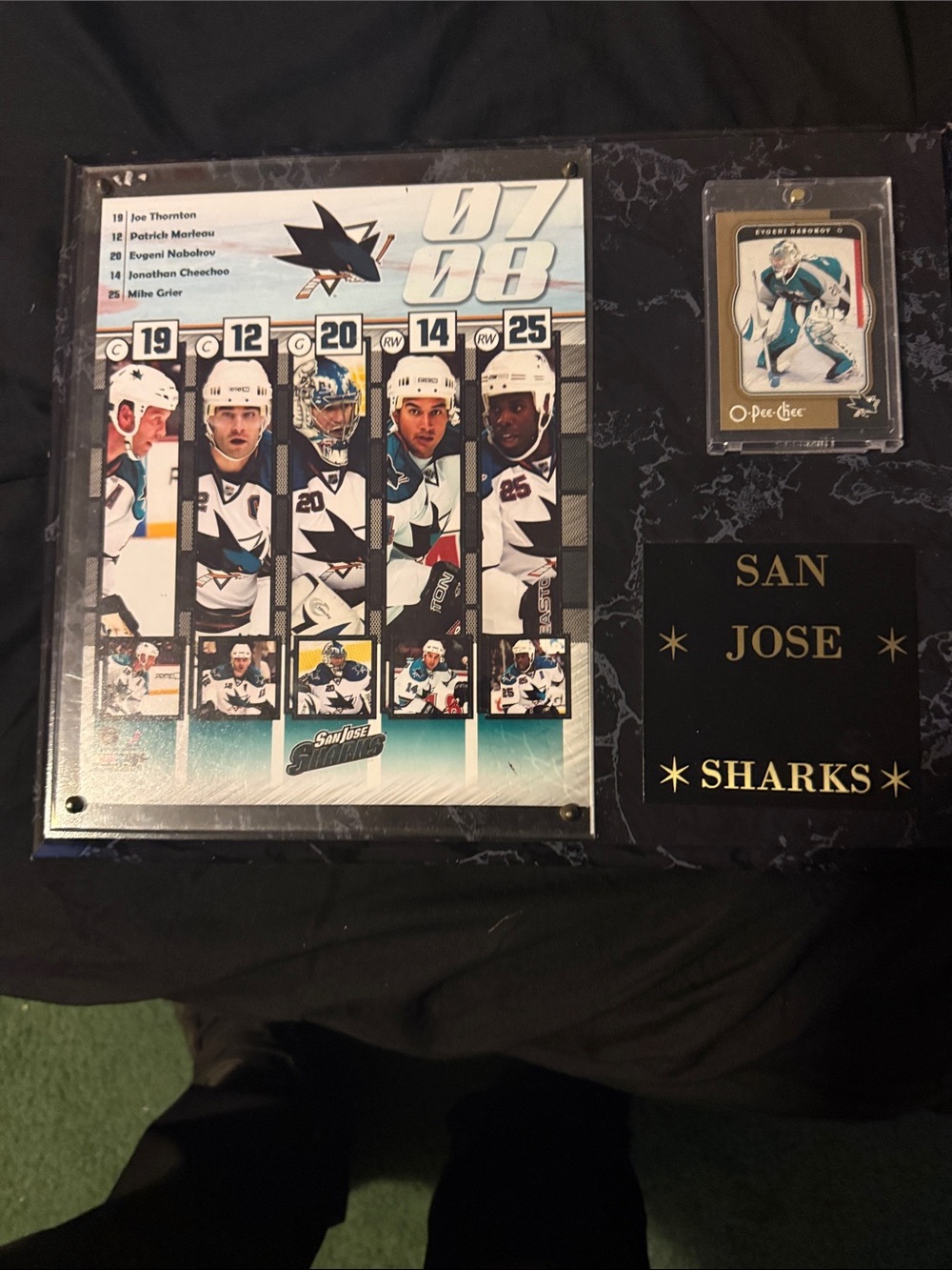 San Jose Sharks Plaque